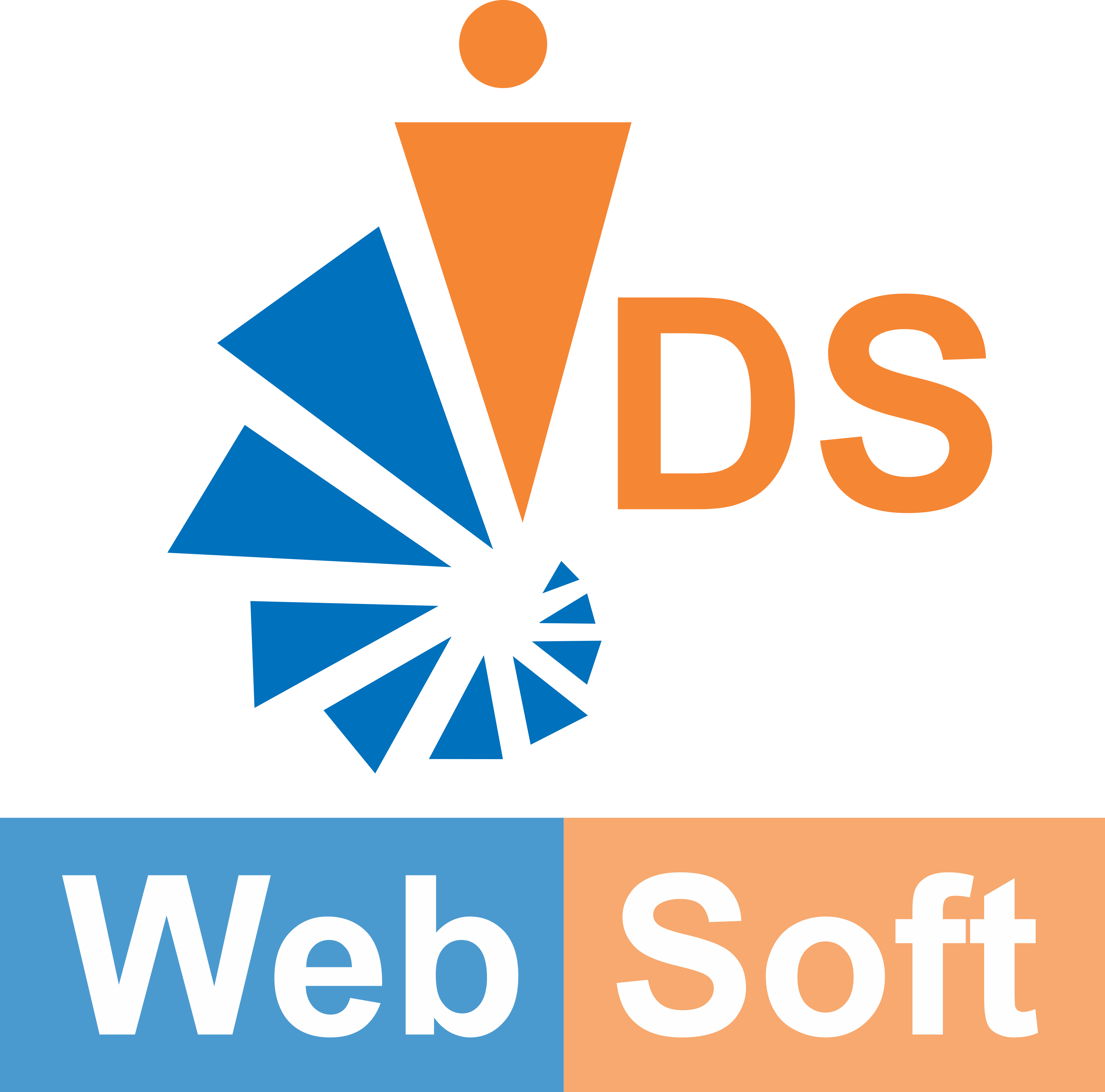 IDSWebSoft-Logo